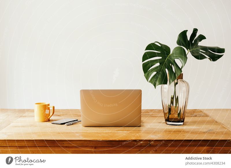 Gadgets and vase with plant on table gadget workplace cup laptop smartphone wooden desk mug drink home interior modern bouquet decor wall design tea apartment