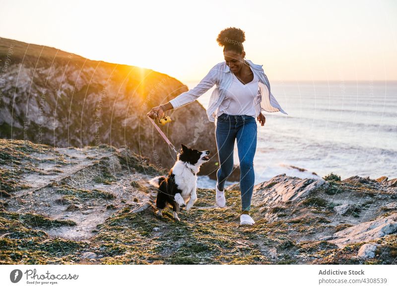 Black woman running with dog on beach sunset play together owner pet cheerful animal companion canine female sea purebred smile border collie ocean obedient