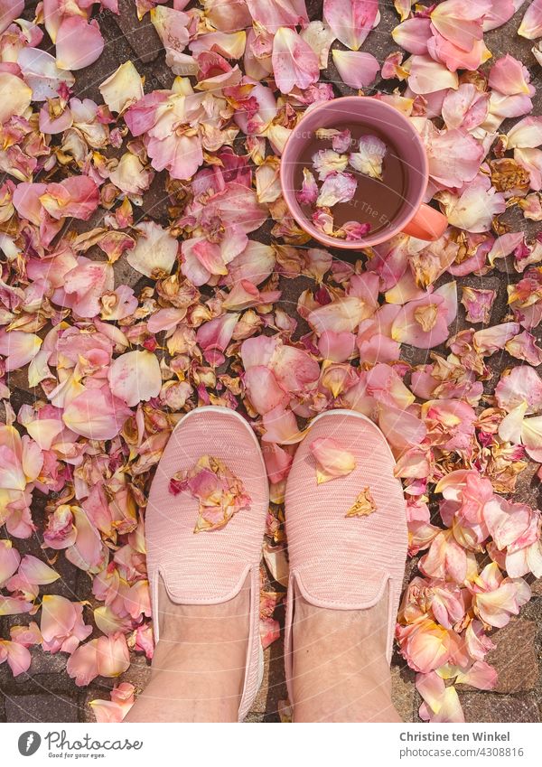 Feet in pink shoes standing on pink rose petals in front of a cup of herbal tea decorated with flower petals Rose leaves Footwear teacups feet Stand tawdry Pink