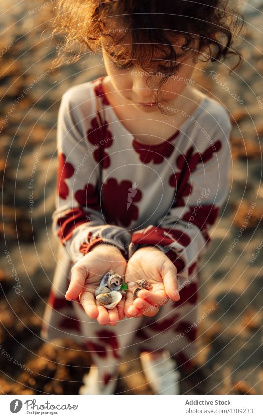 Little kid with seashells in hands beach girl summer handful nature demonstrate child adventure childhood little curly hair show vacation cute explore discovery