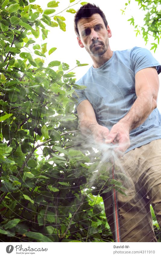 Man working in the garden - watering soak Gardening Water hose plants do gardening Earnest Exasperated Cast Summer Irrigation Hot summer aridity dry spell