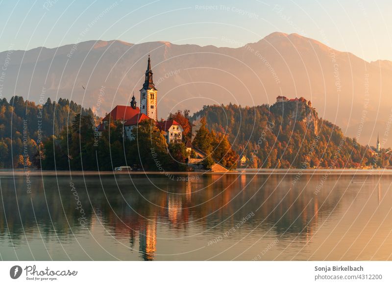 Lake Bled in Slovenia with the famous island and castle in the background lake bled Autumn Landmark Ancient Landscape pretty Castle Church colourful colors