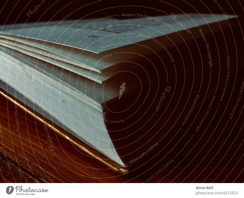 Lying open book with gold band in light and shade. Book Page Paper Literature Reading Light Shadow Education Reading matter Information books Study