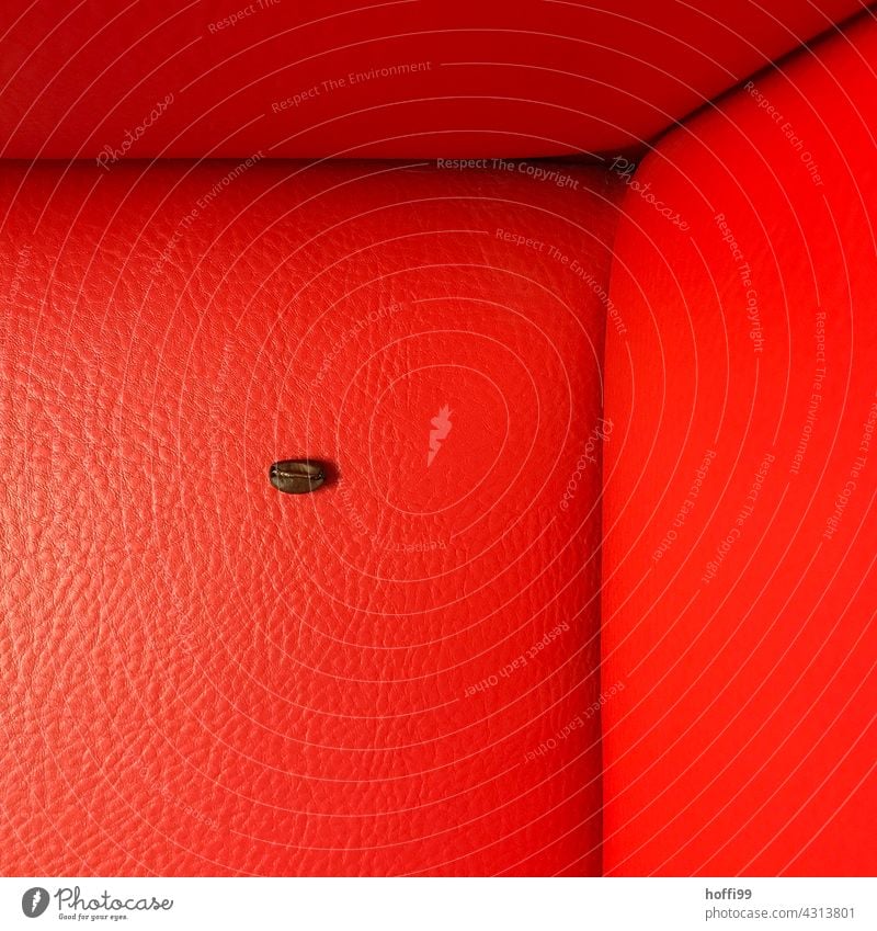 an espresso bean on the red sofa Beans Espresso espresso beans Red red armchair red background Coffee Café Caffeine Aromatic Brown Beverage Coffee bean