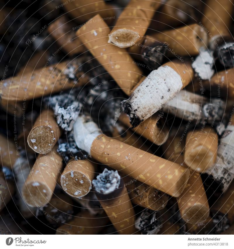 Zigaretten sucht rauchen genuss Asche