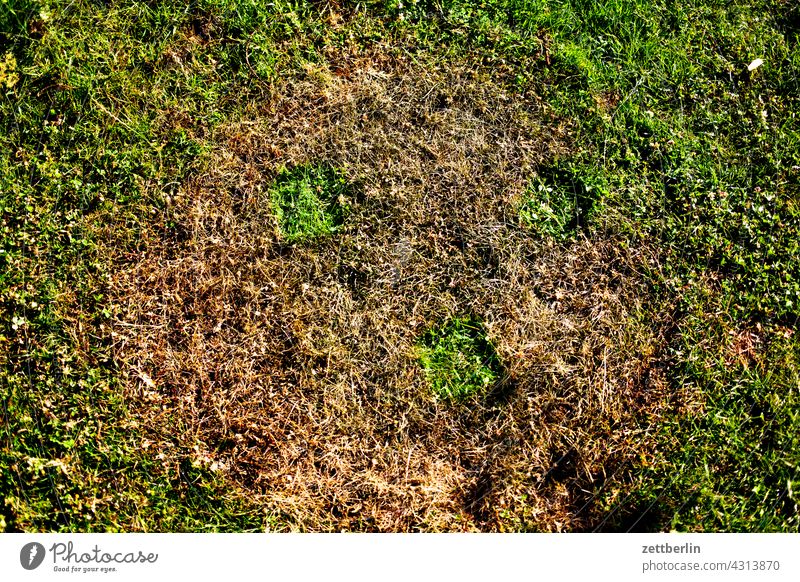 Firebowl Traces Grass Lawn Meadow Burnt burn marks Imprint Hot ardor fire bowl three Triangle shape Geometry Garden garden party The morning after Morning Day