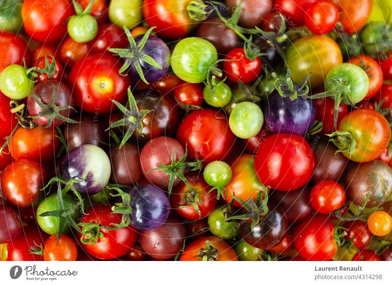 Set of colorful cherry tomatoes Raw agriculture background colors crop diet food gathering health healthy ingredient organic set vegetable