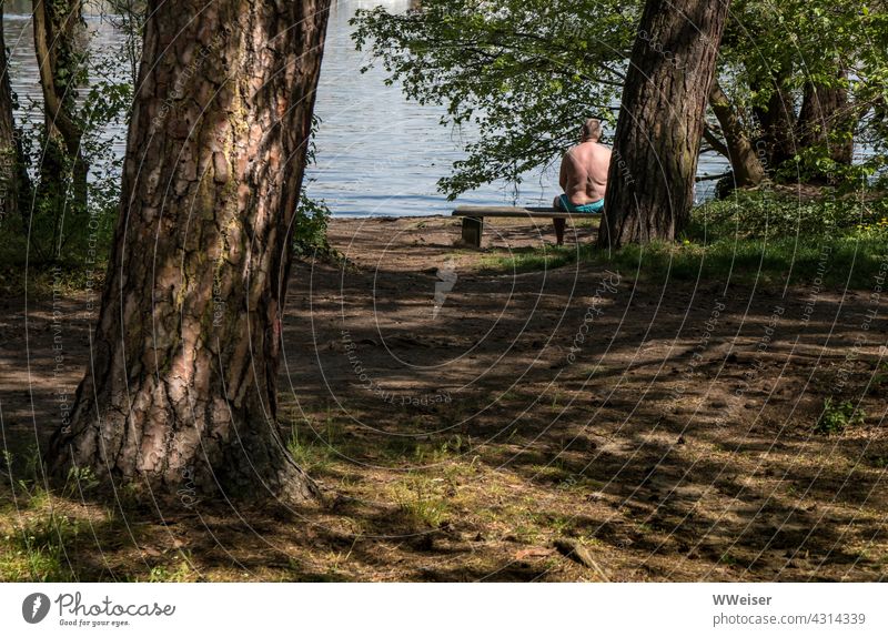 A middle-aged man, strong build, relaxes on a bench alone by the lake Lake River Human being Man Forest trees Nature half-naked Water on one's own Bather