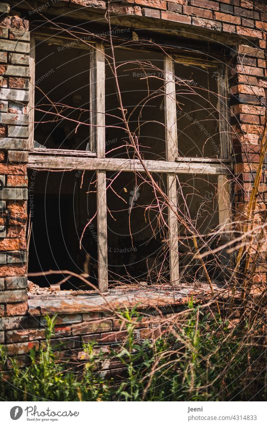 Lost Land Love | Broken Window in a Broken House Fragile Window pane shattered lost places lostplace forsake sb./sth. Transience Old Derelict Decline Ruin