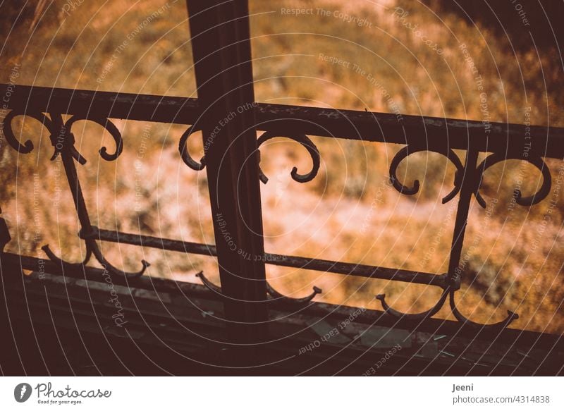 Lost Land Love | Beautiful Window Grille Behind Broken Window window grilles rail Metal Metal railings Ornate decoration Decoration Abstract Multicoloured Art