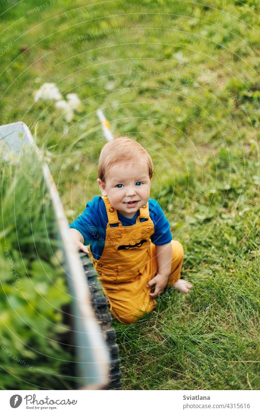 Kid sitting on the grass next to a garden cart and smiling summer toddler adorable wheelbarrow baby small summertime outdoor sitting on grass gardening green