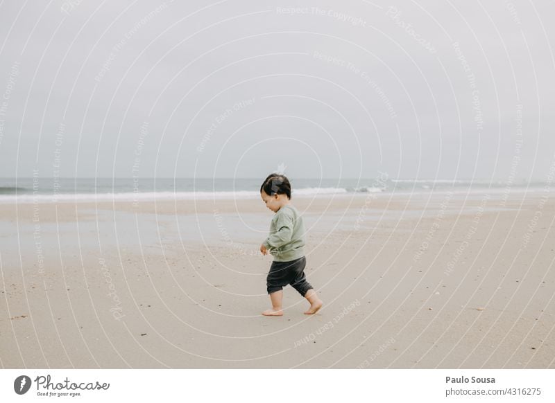 Child walking on the beach childhood 1 - 3 years Caucasian Walking Beach Authentic Playing Joy Life Childhood memory Lifestyle Toddler Human being Colour photo