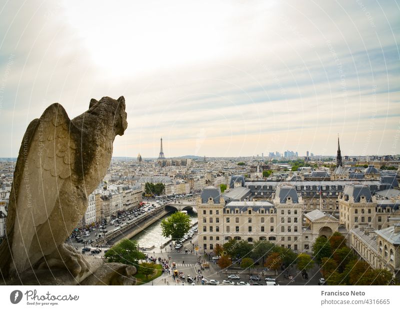 View from the Notre Dame Cathedral notre dame cathedral paris gargoyle France Architecture Exterior shot Religion and faith Sky Church Historic Old Tourism