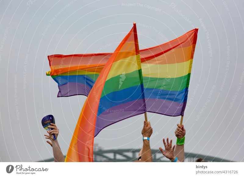 People wave rainbow flags Rainbow Flags hands Swing Prismatic colors queer Homosexual Rainbow flag Love Tolerant variety Respect Equality Freedom
