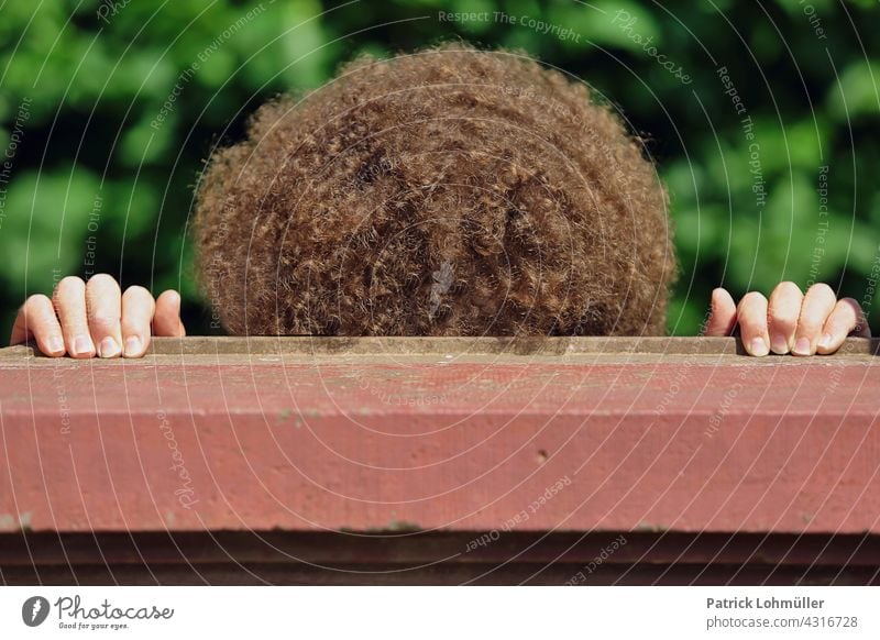 Wall Curls Man hairstyle Brown lured Frizzy hands detail Detail full hair Full plump Fat Wide Grown Wall (barrier) Human being person Hiding place Hide behind