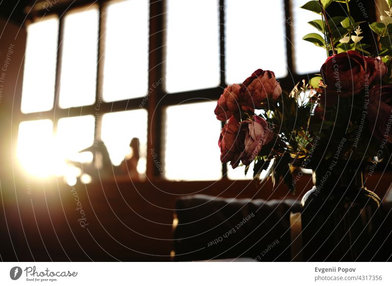 Red and pink flowers that captured during golden hour. With unfocused young girl model posing on the back while lies on windowsill woman white neckline blonde