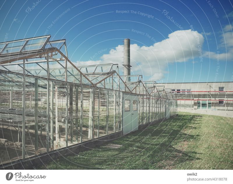 Glass factory Greenhouse Metal Colour photo Construction Transparent Change Transience Decline Old Sharp-edged Building Exterior shot Central perspective