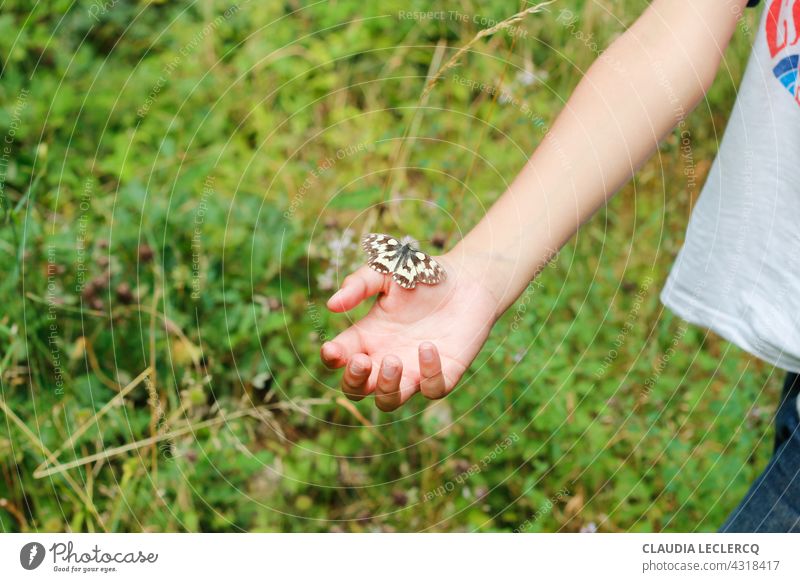 Butterfly on a child hand in a sunny day butterfly child arm Nature Arm Infancy Human being Colour photo Fingers France holydays Multicoloured Skin Lifestyle