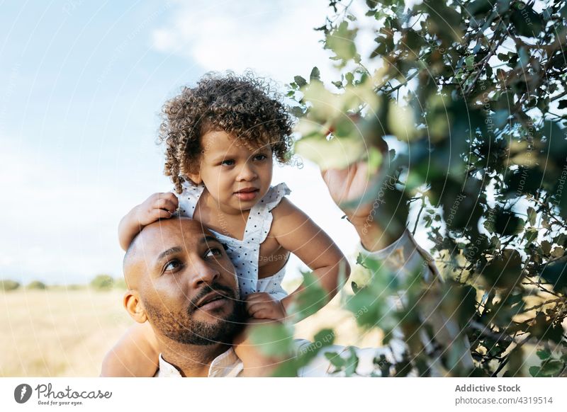 Black father and little girl exploring nature in summer daughter explore curious interest together countryside parent black african american ethnic cute happy