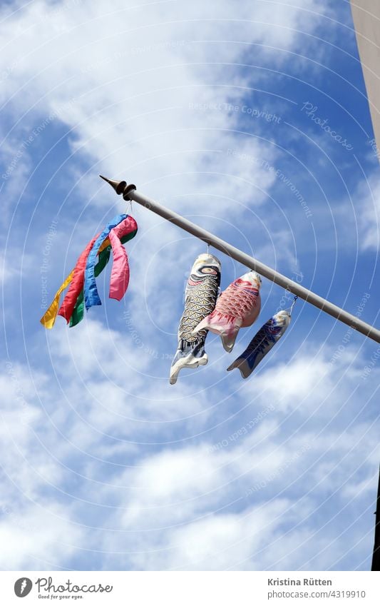 carp flags fluttering on the flagpole windkoi windkois koinobori koi-nobori carp kite Wind chime decoration Decoration variegated cheerful Judder Blow Sky