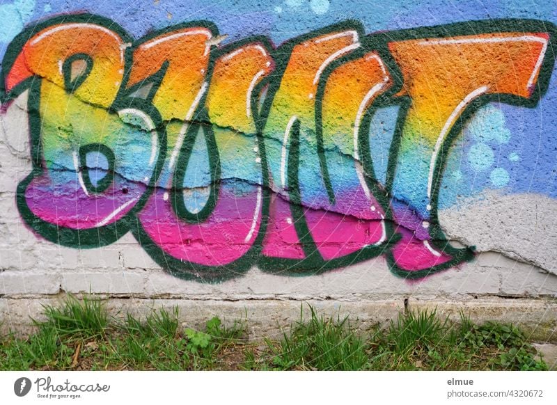 BUNT was sprayed in big, colorful letters on a wall / graffito / color / creative variegated Graffito Graffiti Wall (building) Colour colored Youth culture Art