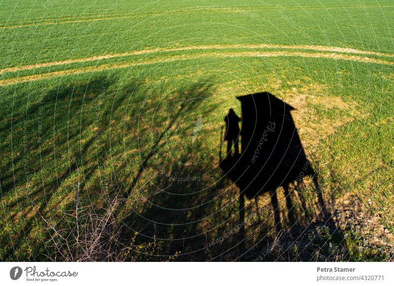 Photo Hunter photo hunter Shadow Shadow play Hunting Hunting Blind Vantage point Field Landscape Nature Tree Green Black Exterior shot Observe Stand Human being