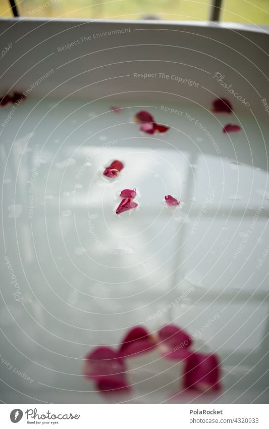 #A# Flower bath at the wellness weekend Wellness Wellness Concept wellness area Wellness treatment relaxation Milk flower bath Blossom leave Rose leaves roses
