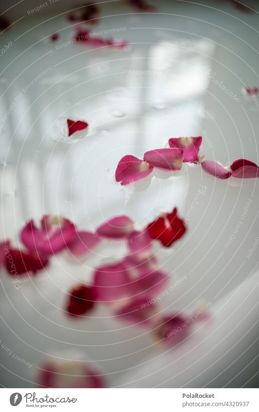 #A# Flower bath at the wellness weekend Wellness Wellness Concept wellness area Wellness treatment relaxation Milk flower bath Blossom leave Rose leaves roses