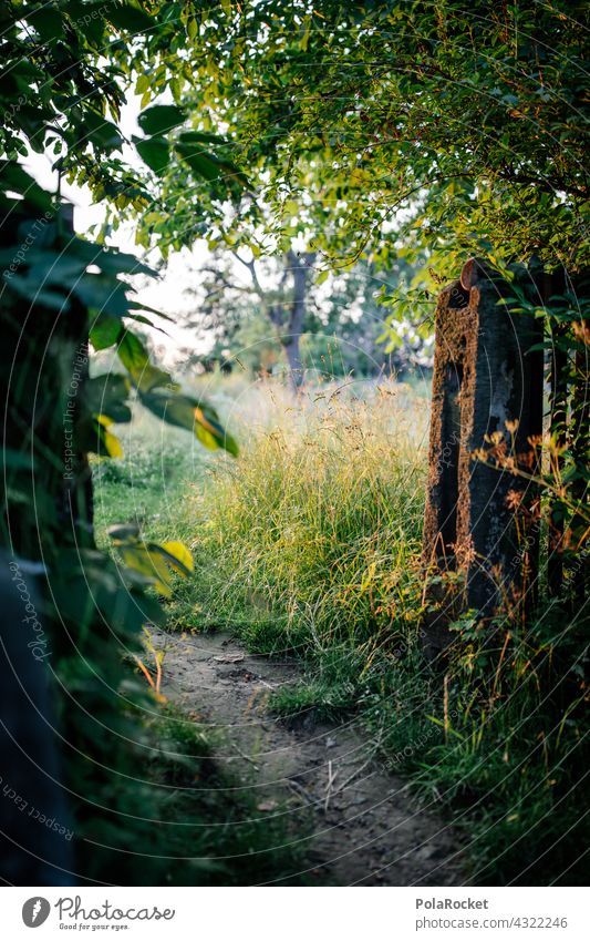 #A# Path to the sun Lanes & trails off Wayside Bend Perspective Sunset Field Meadow Goal door Opening Exterior shot Nature Sky Colour photo Landscape Grass