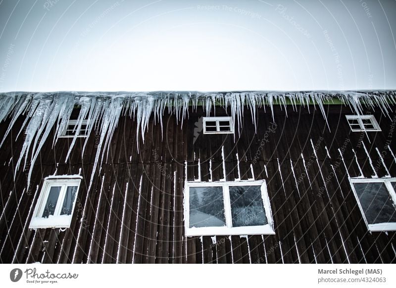 Wooden mountain hut covered with snow and framed with icicles Wooden hut Icicle Winter cottage Alpine hut Exterior shot Mountain Snow Hut Colour photo