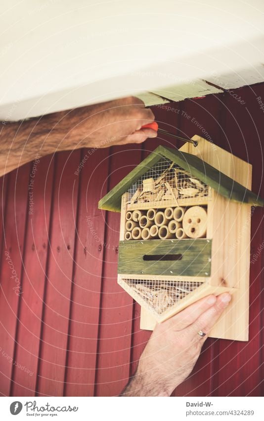 Man puts an insect hotel on a wall Insect repellent sustainability Eco-friendly die of insects bee-friendly Garden Conscience nature-lover Animal lover