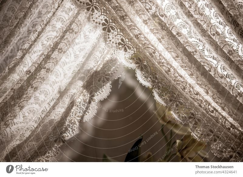white lace curtain on a window, sunlight abstract apartment background bright daylighting daytime decor decoration decorative design effect fabric home house