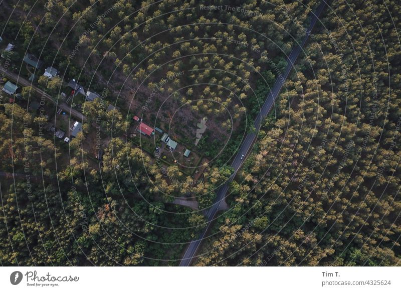 a country road in Brandenburg from above Landscape Country road UAV view Street Deserted Tree Exterior shot Colour photo Nature Day Environment Lanes & trails