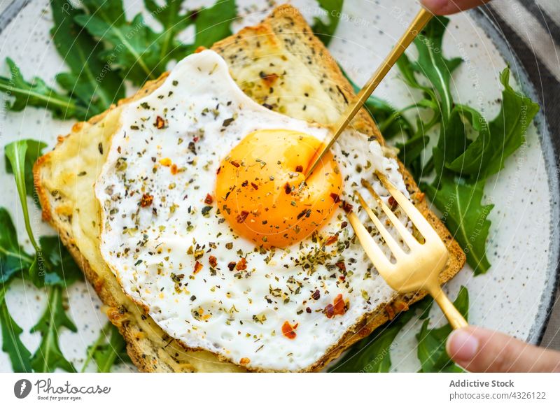 Anonymous person eating toast with eggs and cheese food healthy meal plate cuisine dish lunch closeup vegetable diet dinner breakfast bread yolk tasty appetizer