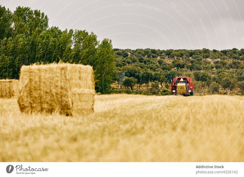 Tractor and haystack on field roll tractor dried agriculture rural summer countryside machine vehicle transport environment farm landscape modern season meadow