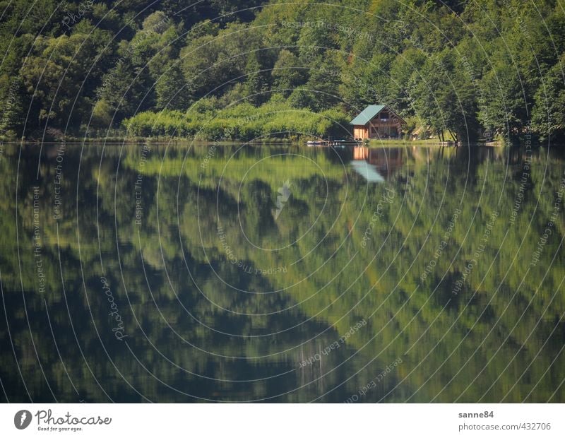 Mirroring II House (Residential Structure) Dream house House building Redecorate Water Summer Tree Forest Lakeside Bay Bosnia-Herzegovina Village Deserted