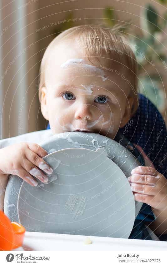 13 month old baby holding plate and licking it after eating yogurt; messy face and hands as she self feeds baby led weaning toddler 6-12 months old one year old