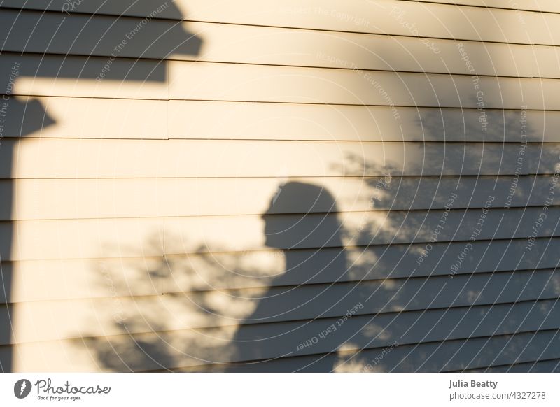 Woman's shadow cast on the side of a home in the suburbs Silhouette profile side view 40s female mom Home home owner mother outdoors Sunset siding