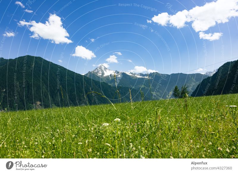 Zillertal Mountain Zillertaler Alps Vacation & Travel Panorama (View) Landscape Sky Nature Peak Hiking Colour photo Trip Day Exterior shot Freedom