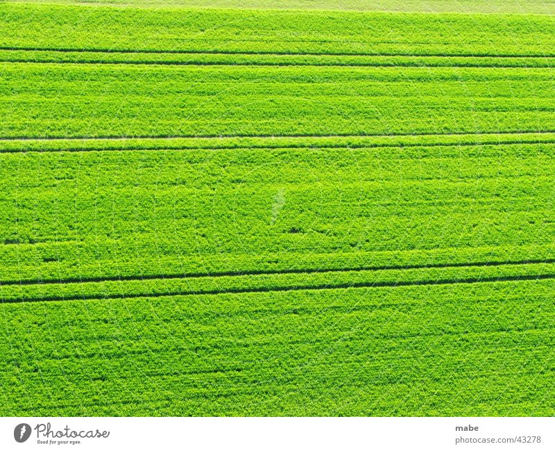 green field in the landscape Field Green Spring Landscape Nature