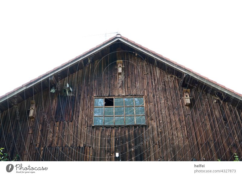 Barn with wooden boarding and bird house on the facade with smashed windows for the entry of other birds or bats Bird House Facade Window boards Wood
