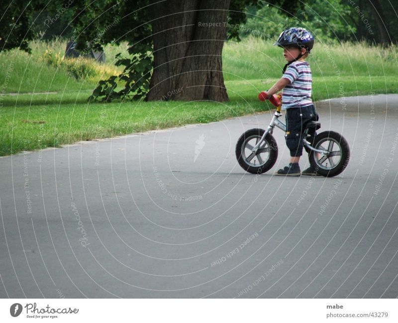 child on bicycle and looks Child Bicycle Street Looking Boy (child) impeller Stand Striped Cute Small Toddler Exterior shot Colour photo Tree trunk 1 Lawn