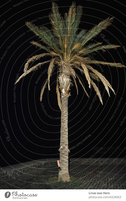 A trip to Tenerife is always a wonderful idea. You can hug tall palm trees the whole day and night as in this image our model does. Only her pretty long leg and hands are visible underneath a palm tree.
