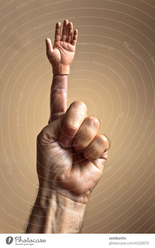 Hand with hand with special consideration of the index finger Anatomy essay Thumb double replacement Fingers gesture Little finger Man Human being Middle finger