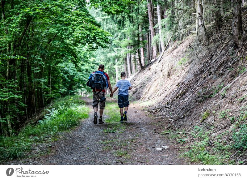 be together Happy Happiness Joy Lanes & trails hikers Nature Exterior shot Environment in common Together Summer Family & Relations Hold hands Son Father Love