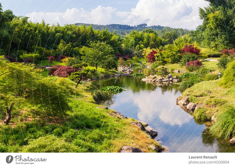 Japanese garden and nature botanical eden forest green idyllic landscape ornamental park pond rural scenic spring