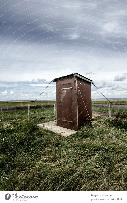 The dirtiest toilet in Scotland... Environment Nature Landscape Sky Clouds Grass Island Neuwerk Fishing village Lighthouse Toilet Outside toilet Garden Blue