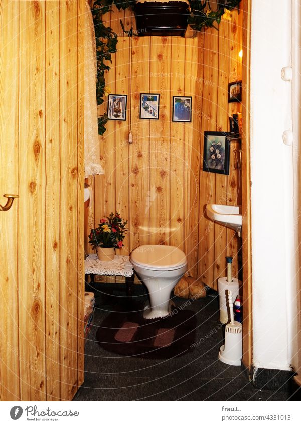 snug LAVATORY Toilet Toilet paper door john Living or residing Flowerpot pictures Wood panelling