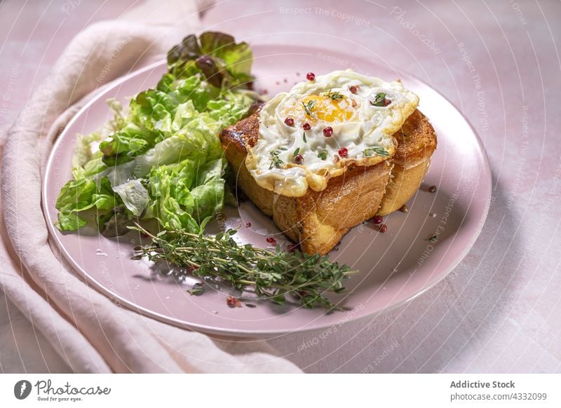 Fried egg on brioche with lettuce on pink plate fried breakfast appetizing nutrition serve table food delicious meal dish green thyme portion palatable