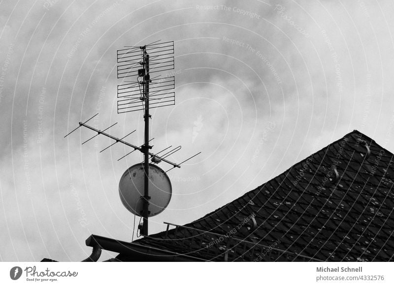Antenna and satellite dish Satellite Dish Receive Roof Television Radio (broadcasting) submit Technology Satellite dish Radio technology Media Communicate